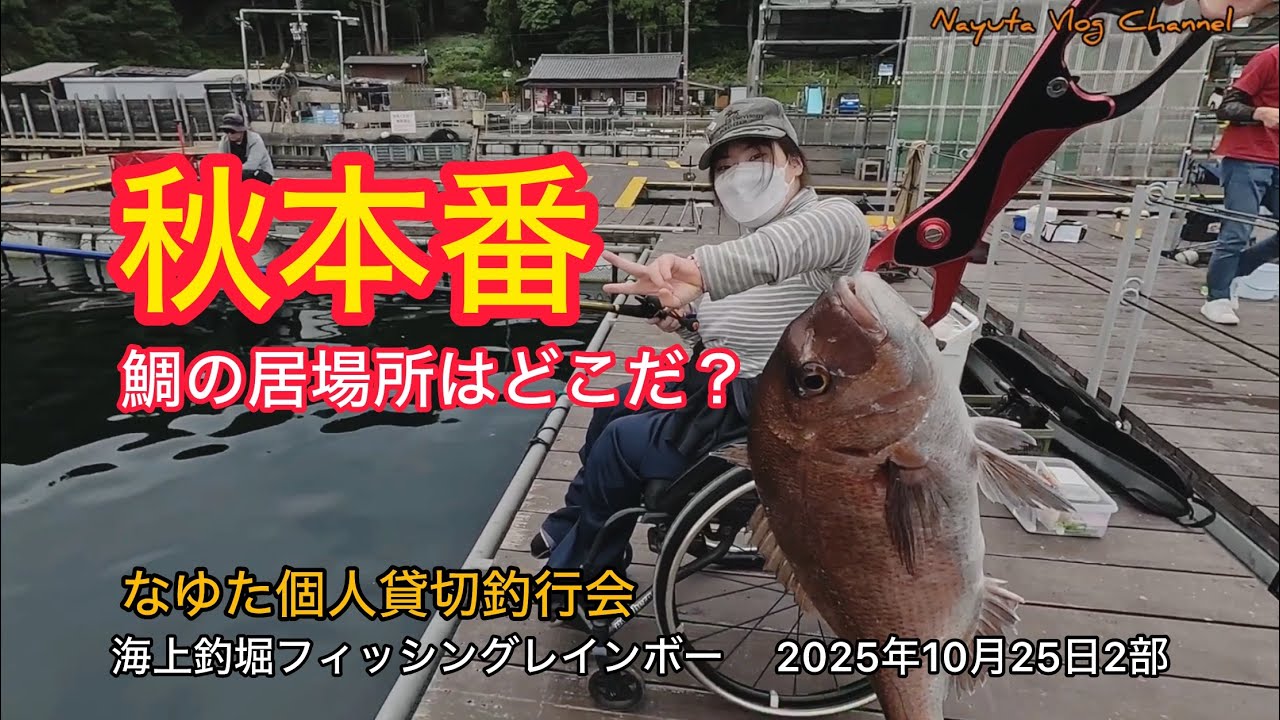 【海上釣堀】フィッシングレインボー2025年10月25日2部貸切釣行　#釣り #海上釣堀#fishing
