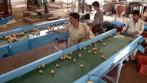 GLOBAL  AGRITECH ENGINEERS  POTATO ONION GRADING LINE  9824240130