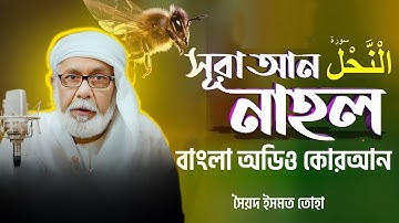 016) সূরা নাহল - Surah An-Nahl (bee) | سورة النحل | বাংলা অডিও কোরআন –Bangla Audio | সৈয়দ ইসমত তোহা