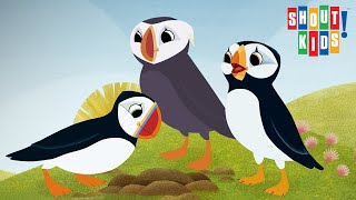 Puffin Rock And The New Friends - Clip: Marvin Loves Puffin Rock