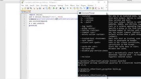 Send Hex text on Windows on Serial Port using Python