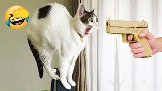Funniest Animals 😄 New Funny Cats and Dogs Videos 2024 😹🐶 #293 by Pets Viewers 9 views 2 days ago 8 minutes, 41 seconds