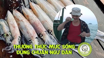 ĂN SASHIMI MỰC TƯƠI SỐNG TRÊN BIỂN CÙNG GIANG CÒI