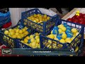 Bazarda limonun kilosu 5-6 manata satılır: qiymətlər nə vaxt düşəcək?