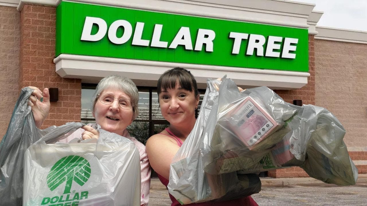 My Momma's DOLLAR TREE Haul | You Won't Believe It... No Gnomes