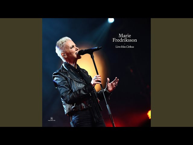 Efter stormen (Live Cirkus, 8 april 2014)