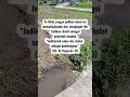 #shortvideo #selfreminder #shorts #sabar #syukur #penolong