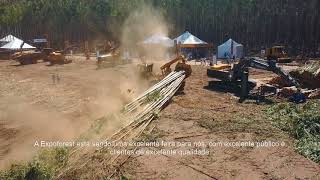 Expoforest 2018 - Entrevista Grant Somerville, presidente da TIGERCAT