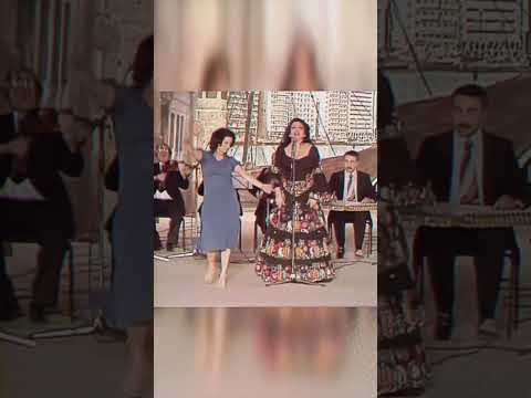 بيت الشعر يالمبني سميرة توفيق Shorts