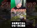 突然女を見せてきたひなのに困惑しつつも落とそうとするヘンディー【ヘンディー/トナカイト/ボドカ/橘ひなの/APEX LEGENDS】