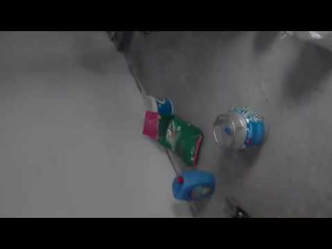 جبناها وجينا