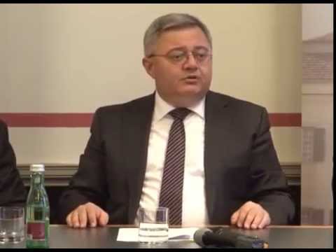 დავით უსუფაშვილის გამოსვლა ავსტრიის ეროვნულ საბჭოში