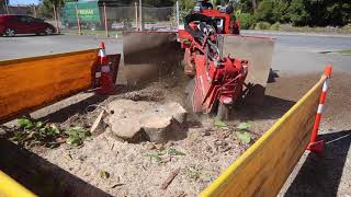 Nelson Treehab specialising in Stumpgrinding