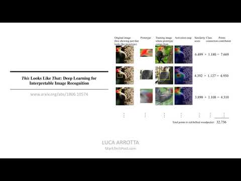 This Looks Like That: Deep Learning for Interpretable Image Recognition (AI Paper Summary)