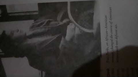 The Issues Of Equality In Other Democracies