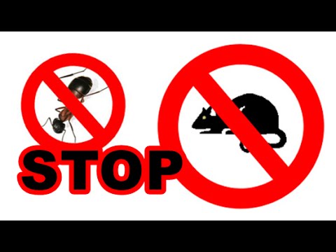 Bunyi untuk menakutkan tikus, anjing, nyamuk, pepijat Bunyi untuk menakutkan tikus, anjing, nyamuk, pepijat