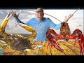 Blue crabs n crawdads catch clean cook southern louisiana seafood boil