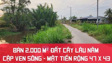 Tập 1675 : Bán 2.000M² đất cây lâu năm - cặp ven sông - mặt tiền rộng 47 × 43 giá 850 triệu/1.000M²