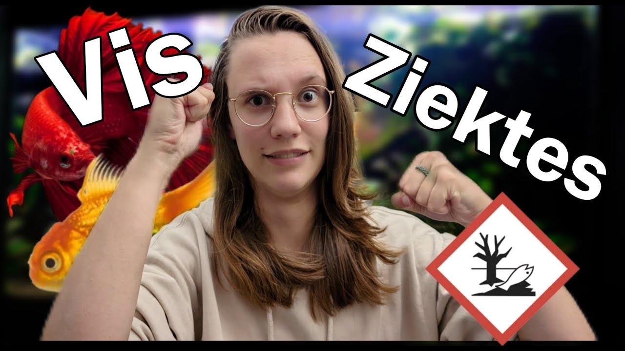 KNOKKEN met ZIEKTES, Hoe worden VISSEN (NIET!) ZIEK? //Nickey//