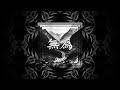 Oniric Cat -  Disco Galactica