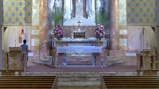 St. Paul the Cross Live Stream