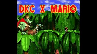 DKC X Mario REDO