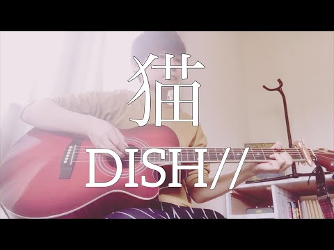 高校生がDISH//「猫」弾き語りしてみた！