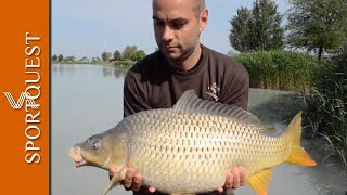 Carp Fishing and a tour of Island Lake, Hungary π