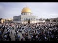 القد س - زهرة المدائن