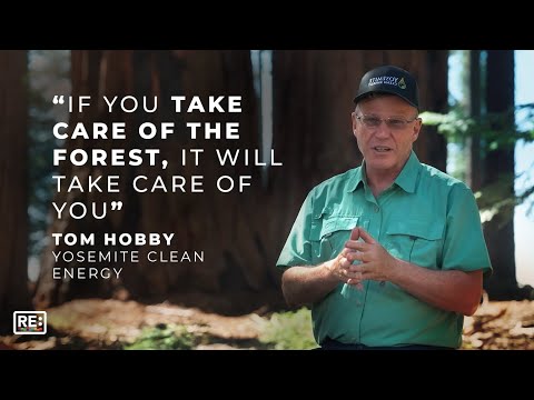 Yosemite Clean Energy: Using Wood Waste to Generate Green Hydrogen