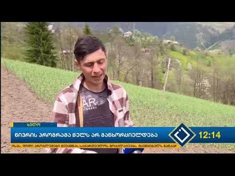 ნივრის პროგრამა წელს არ განხორციელდება