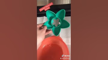 Avocado Tree Growing Kit