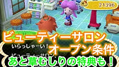 とび森 私流グレースのファッションチェックに確実に合格する方法 とびだせどうぶつの森amiibo 実況 Youtube