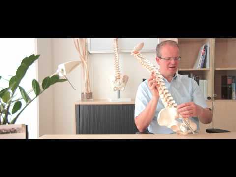 Video: Anatomie, Funktion Und Diagramm Des Iliosakralbandes - Körperkarten