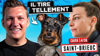 Chien Trop Puissant En Laisse Pour Sa Maîtresse l Jour 14 : Tour de France Educ Dog