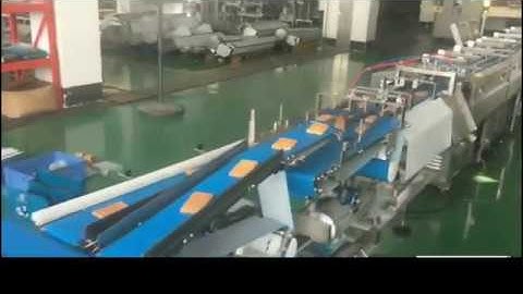 Two Wafer High Speed Automaitc Feeding Packing Machine Model ZP 500