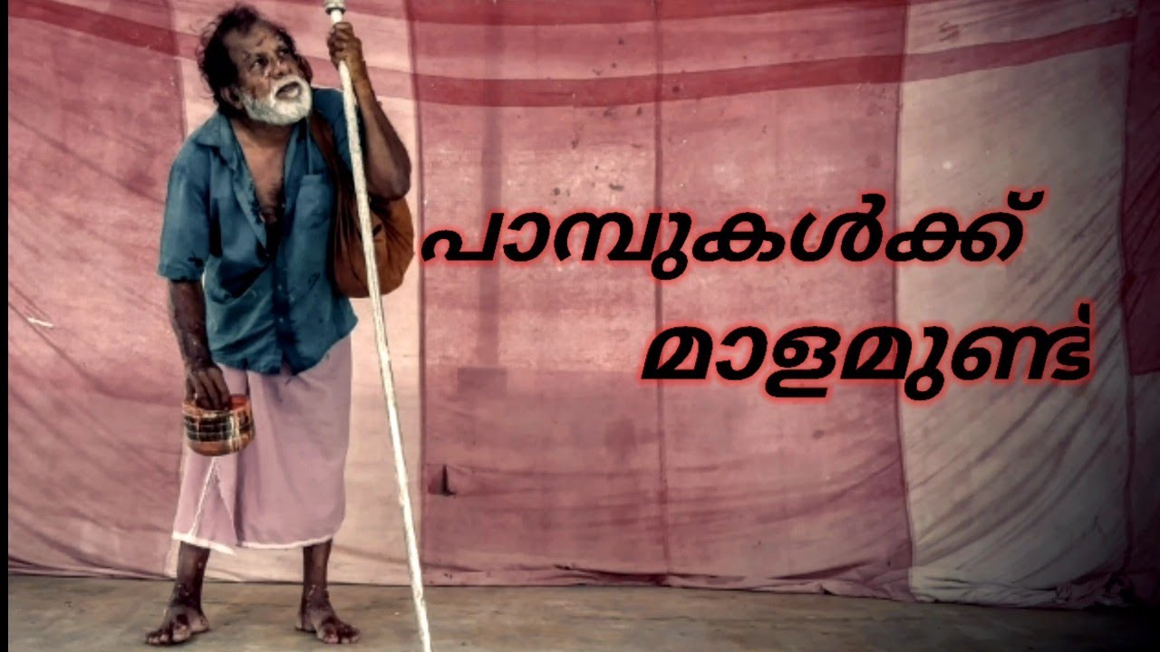 Pambukalku malamundu  Drishya avishkaram | Thopil Bhasi |  Ashwamedham Drama