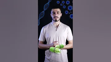 عماد هرمون الأندروفين 