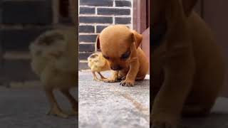 Best Friend Wait For It. Uploadsend Nature Beauty