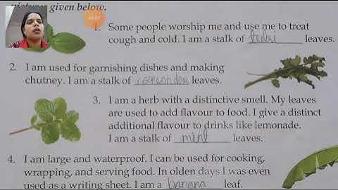 Class III General Knowledge 16 04 2021 by Ms Anchal Singh, Who am I  and Body Talk