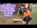 How deep does a stump need to be ground to grow grass