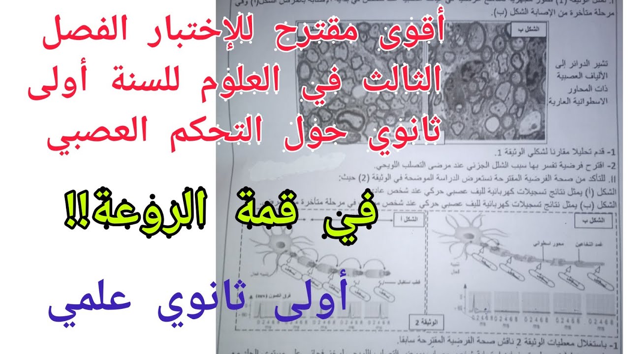 أقوى مقترح للإختبار الفصل الثالث في العلوم للسنة أولى ثانوي علمي (حول التحكم العصبي)