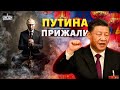 Путин отдался Си Цзиньпину! Фиаско деда в Китае: Китай требует ПЕРЕГОВОРОВ. Мирный саммит решит ВСЕ