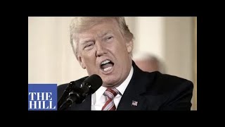 Sen. Feinstein BLASTS former President Trump at hearing for Merrick Garland to be attorney general