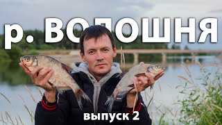 видео: Какой рыбы тут только нет - лещ, подлещик, густера, окунь, уклейка, плотва! Рыбалка на сапе. Руза. картинка: Какой рыбы тут только нет - лещ, подлещик, густера, окунь, уклейка, плотва! Рыбалка на сапе. Руза.