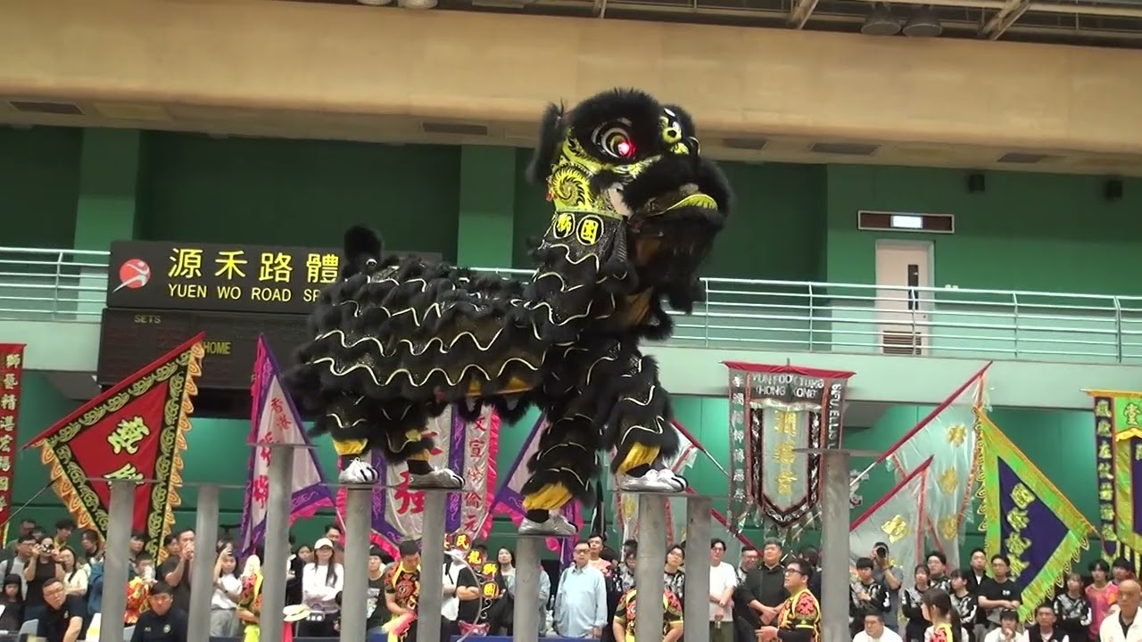 【全港公開龍獅藝錦標賽2025】 姜氏金龍醒獅團  20251221