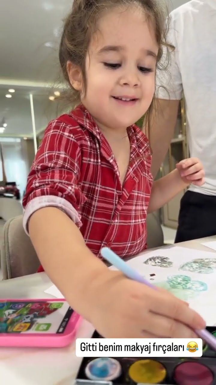 Gitti benim makyaj fırçaları ?