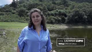 POTRERO DE YALA corto promocional