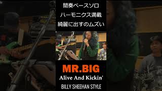 Alive And Kickin' / MR.BIG 間奏ベースソロ ハーモニクス綺麗に出すのムズい #ビリーシーン #billysheehan #mrbig #shorts