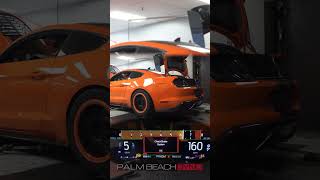 1244HP MoTeC x Twin Turbo #Shelby #GT500! | First Pull on E85 with the Flex Fuel Tune
